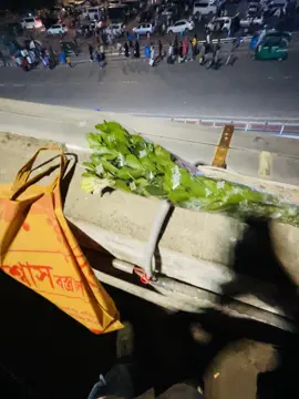 উড়ে যাবো✈️ #foryoupageofficiall #foryou #bdtiktokofficial #bdtiktokofficial 