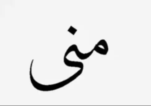 #منى #fyp #اكسبلور #الشعب_الصيني_ماله_حل😂😂 #اللهم_صلي_على_نبينا_محمد #ابها_الان #الجاكرندا 