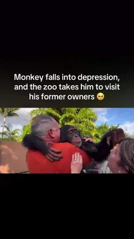 Heartbreaking 🥺 #fyp #foru #foryoupage❤️❤️ #viral_video_tiktok #followback 