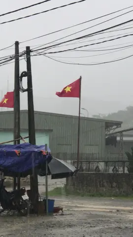 Lá cờ lấp lánh 💖 🇻🇳#xuhuongtiktok #xuhuong #xuhuong #viralvideo #vietnamtoiyeu #toiyeuvietnam 