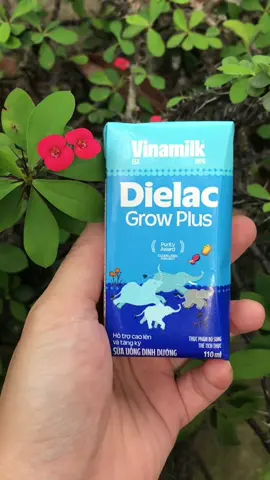 Thùng 48 hộp sữa Dielac Growplus Vinamilk #xuhuong #suaphasan #dielacgrowplus #vinamilk 