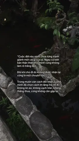 …#tamtrang #story 