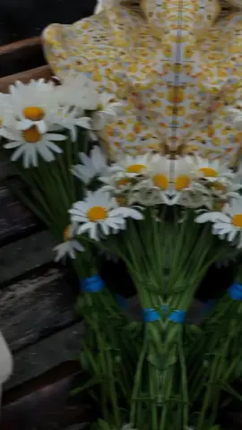 #🌷🌷🌷🌷 