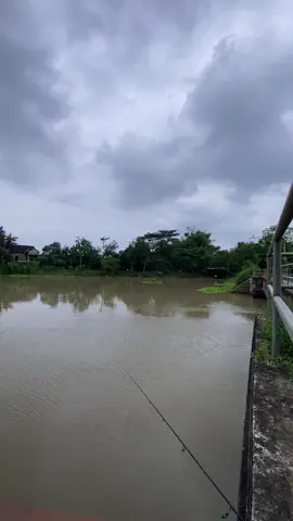 wong liyo ngerti opo #tulungagung24jam 