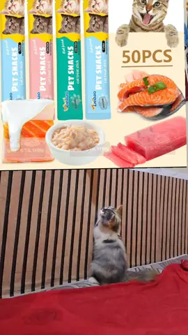 #catlover #kittenlovers #snackkucing #fyp 