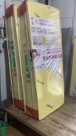 Nệm cao su non Thắng Lợi gấp 3 và tăhngr e về rất nhiều ạ#phươnghangđạinam #nembôngép #nệm #nệmcaosutonghop 