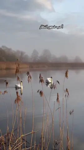 #حسن_الظن_بالله  #توقع_الأفضل_دائماً  #تفاءل_بالخير 