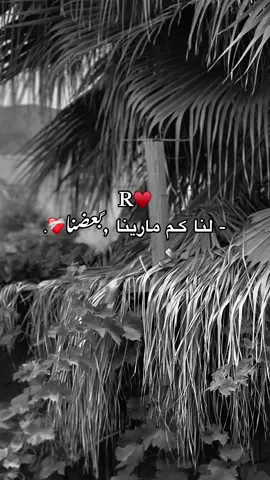 لنا كم♥️🫂#R #مصمم_فيديوهات🎬🎵 #ليبيا_طرابلس_مصر_تونس_المغرب_الخليج #سويد #لبنان🇱🇧_سوريا🇸🇾_فلسطين🇵🇸_تركيا #تركيا #تركيا🇹🇷اسطنبول #fyppppppppppppppppppppppp #حروف_حسب_الطلب😍 #حرف #R #شعب_الصيني_ماله_حل😂😂 #مصمم_حالات_واتس #اكسبلور 