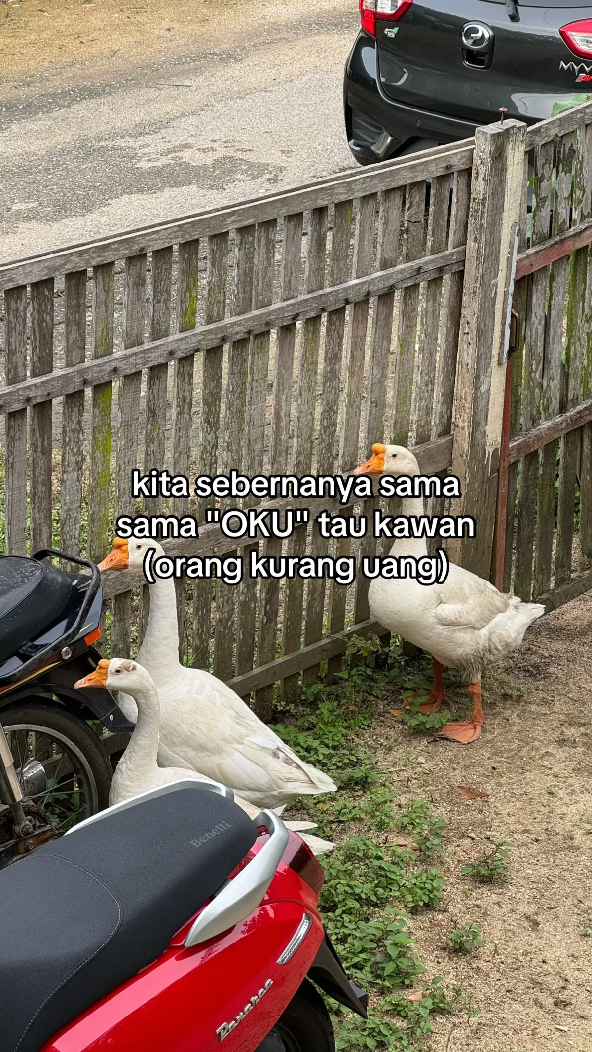 hmm #fyp #4u 
