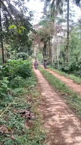 tim tebas kayu @faizun938 #CapCut #rxking #rxkingblayer #ymtech 