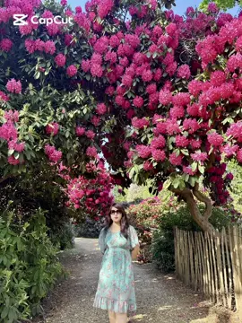 The only thing that can heal me & my inner self is nature & flowers🎍🌺🌷🌹🪻🌸🌼🌻