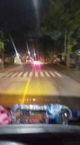 pokok e obah