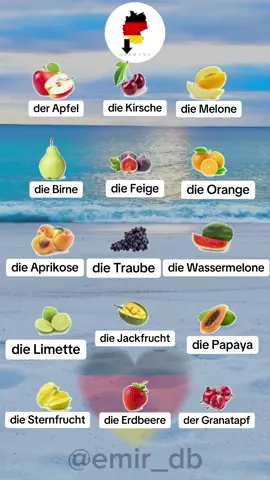 #تعليم_لغه_الالماني_انجليزي #ألمانيا🇩🇪 #سويسرا🇨🇭 #سويد🇸🇪 #بلجيكا🇧🇪 #لوكسمبورغ🇱🇺 #نمسا🇦🇹 #deutschland #duetschland🇩🇪 