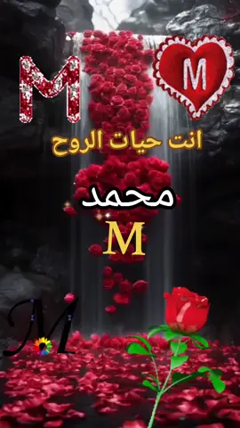محمد #ابني_حبيبي #ابني_نور_عيوني #اختي #مالي_خلق_احط_هاشتاقات #اختي #مالي_خلق_احط_هاشتاقات #شعب_الصيني_ماله_حل #ابني_حبيبي 
