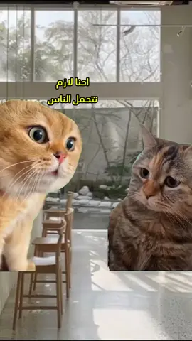 احنا لازم نتحمل الناس