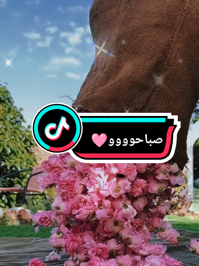 #صباحوو #صباحوووو_عسل #صباح_الخير #صباحكم_أحلى_صباح #صباح_الورد #صباحكم_سعادة_لاتنتهي #صباحيات #اكسبلور #تيك_توك #ترند #fyp #foryoupage❤️❤️ #pourtoi #bonjour #goodmorning #explore #tik_tok #trends #viralvideos #views #☕ #🌹🌹🌹🌹🌹🌹🌹🌹🌹🌹🌹🌹 #❤️ 