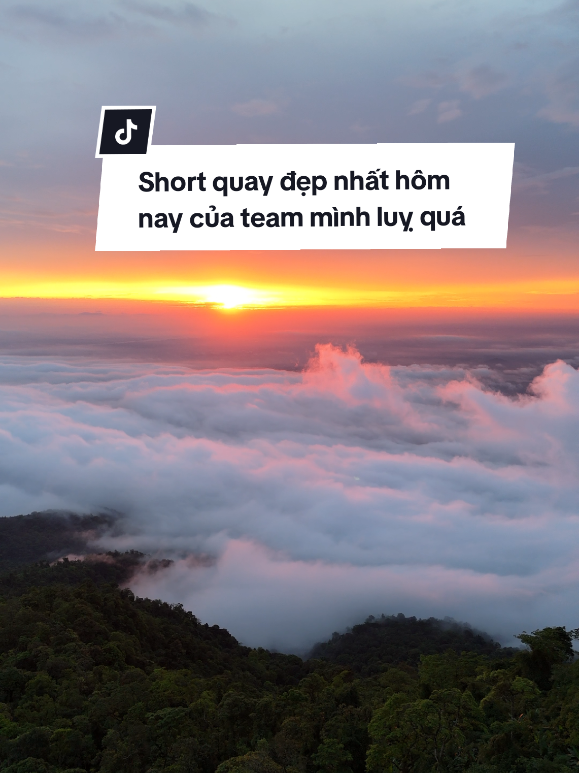 Cực phẩm của ngày hôm nay đây cả nhà ơi đã quá đi #vuonquocgiabavi  #thodiabaviofficial  #hangthodiabavi  #thodiabavi  #teamthodiabavi   #tourtrekkingleonui  #trekkingleonui  #tourtrekkingrung  #tourtrekkingbavi  #tourtrekkinglagi  #tourditrekking  #leonuitrekking  #tourleonuichonguoimoibatdau  #tourleonuibavi  #tourleo 	 #checkingdulichsinhthaileonui  #tourtrekkingtrongngay  #tourdileonui  #leonuitour 	 #leotour  #leonuihanoi  #muaheleonuingamcanhomienbac  #tourleonuiovietnam  #tourleonui  #tourtrekkingchonguoimoichoi  #leonuicungdongdoi  #tourleonuitphn  #tourtrekking1ngay  #tourleonui1ngay  #trekking1ngay 