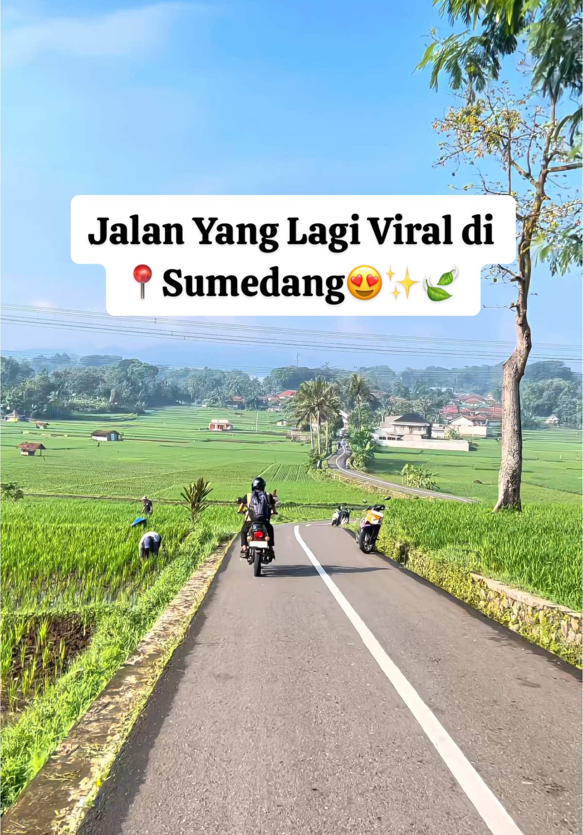 Jalan Yang Lagi Viral di Sumedang. Ada yg pernah kesini??