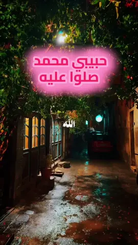 حبيبي محمد ❤️#أجر_لي_ولكم #اعادة_النشر🔃 #صلوا_على_رسول_الله 