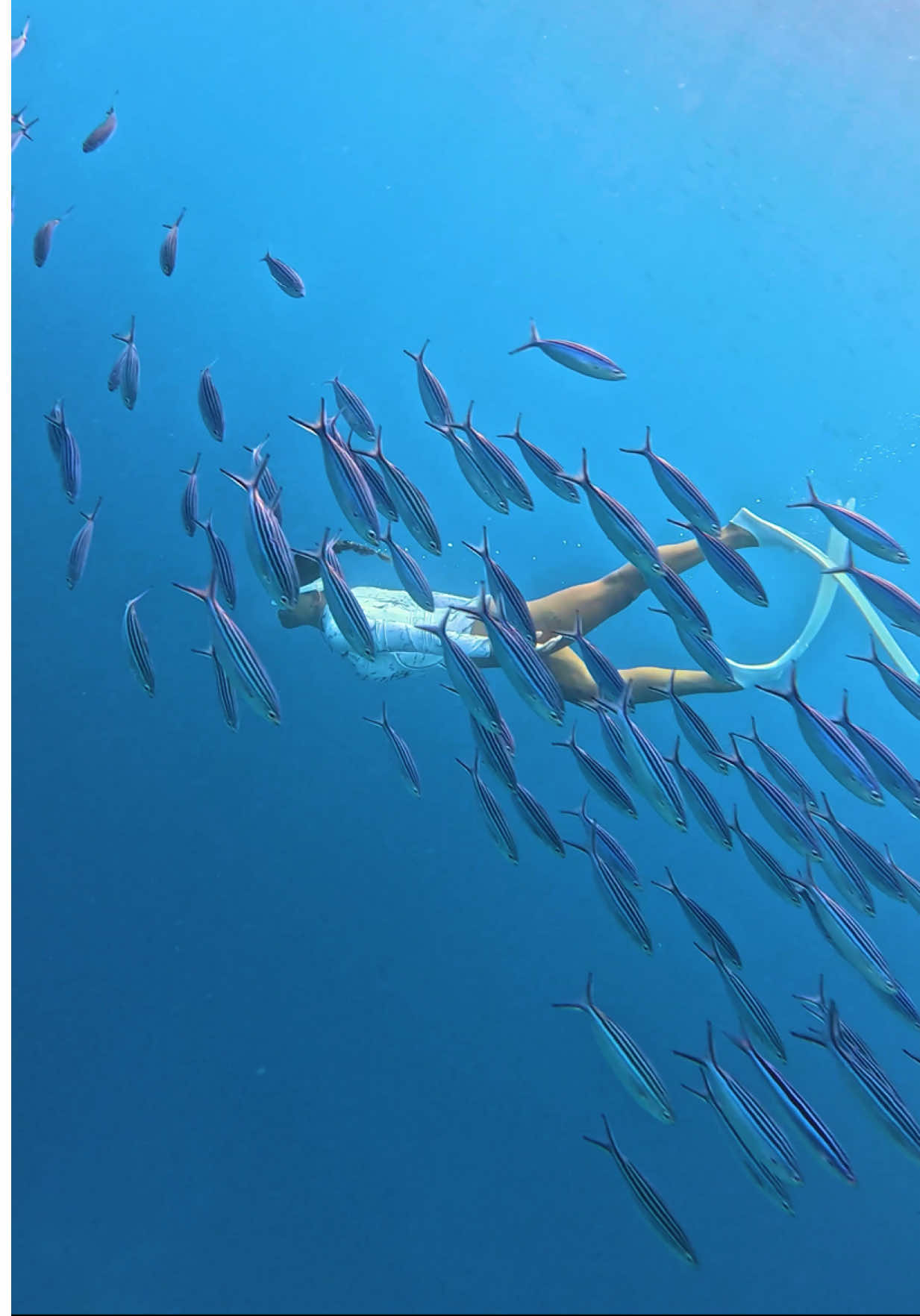 For all the people who loves Egypt 🇪🇬  This is your sign to book your next trip to explore this amazing country this summer ☀️ #beachvibes #egitto #egypt #sharm #sharmelsheikh #beachclub #redsea #beachlife #coralreefs #mosque #underwaterworld #arabianstyle #farsha 