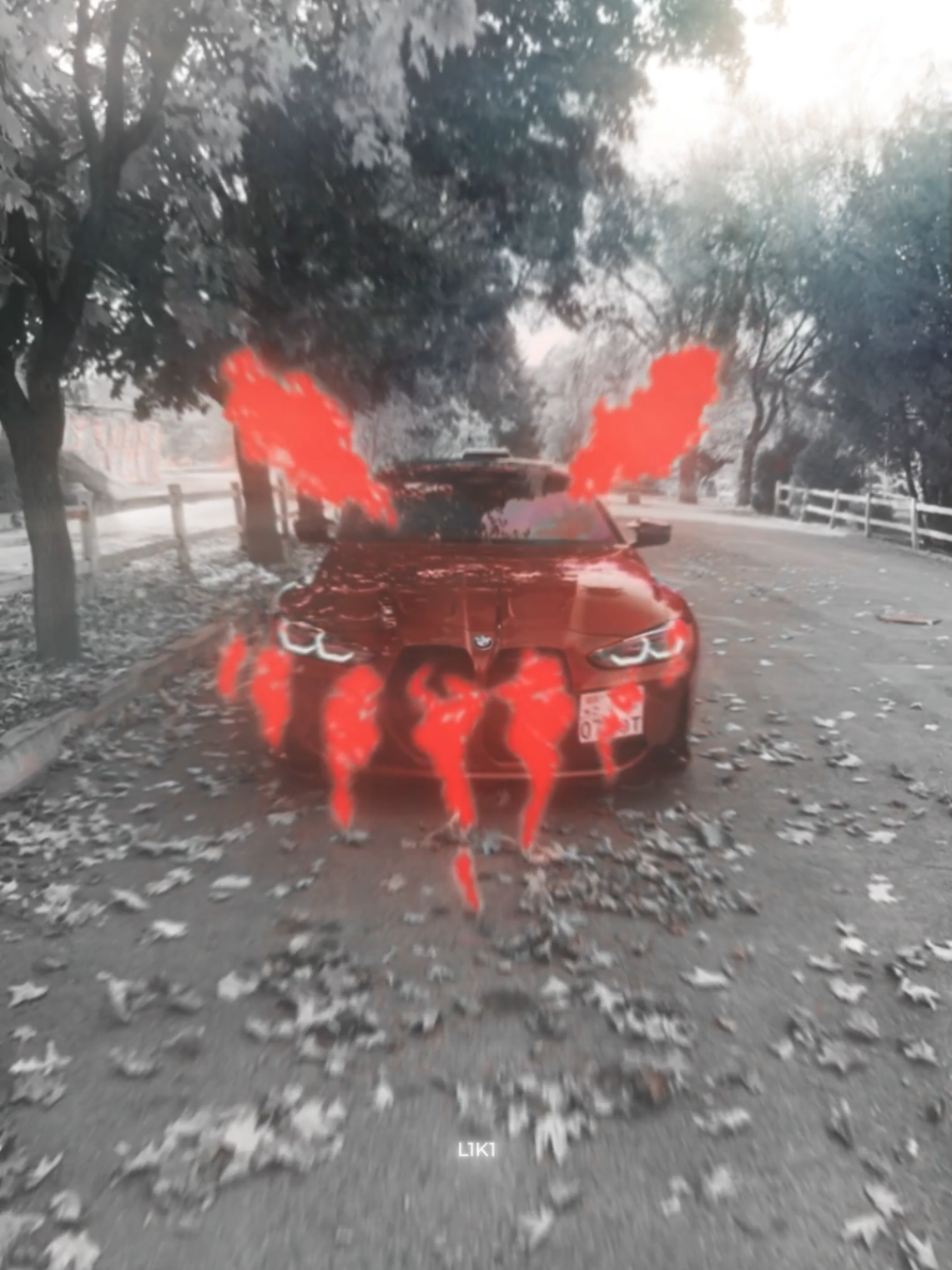 Psyho style | L1K1☠️ #car #l1k1 #edit 