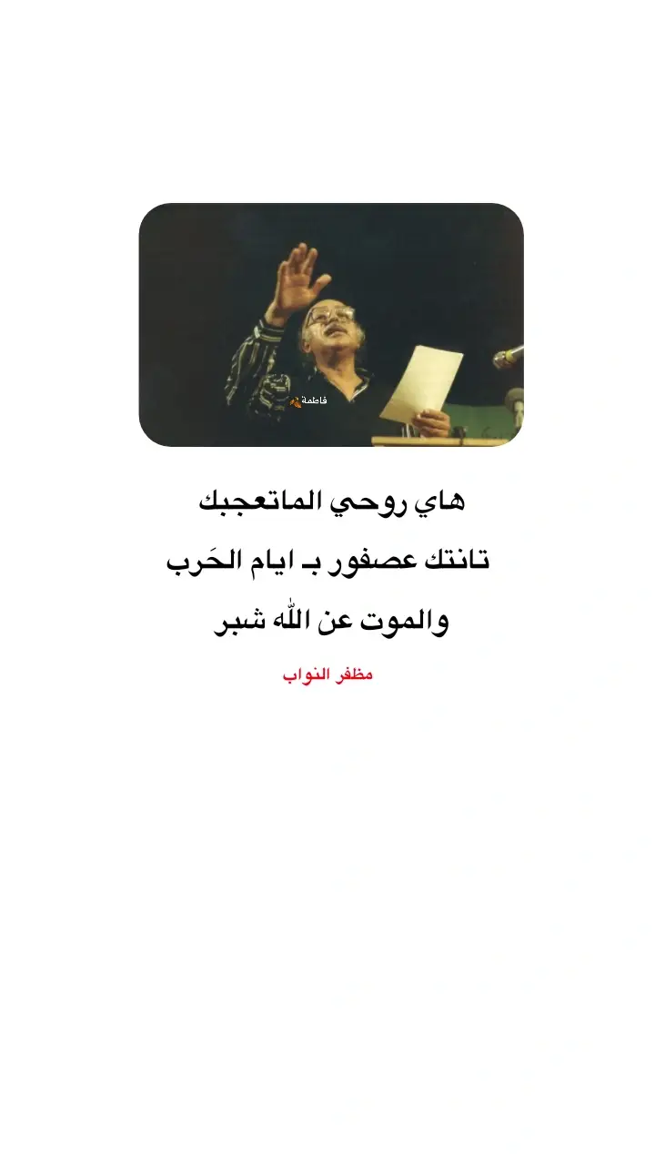 #شعراء_وذواقين_الشعر_الشعبي #قناتي_تليجرام_بالبايو🤍 #سماوه_مدينتي #fyppppppppppppppppppppppp #foryoupage #اكسبلور 