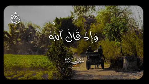 الليثي 💚 . . . #الشيخ_محمد_الليثي #سورة_المائدة #تلاوات #قران_كريم #🎧 #الا_بذكر_الله_تطمئن_القلوب #📻 