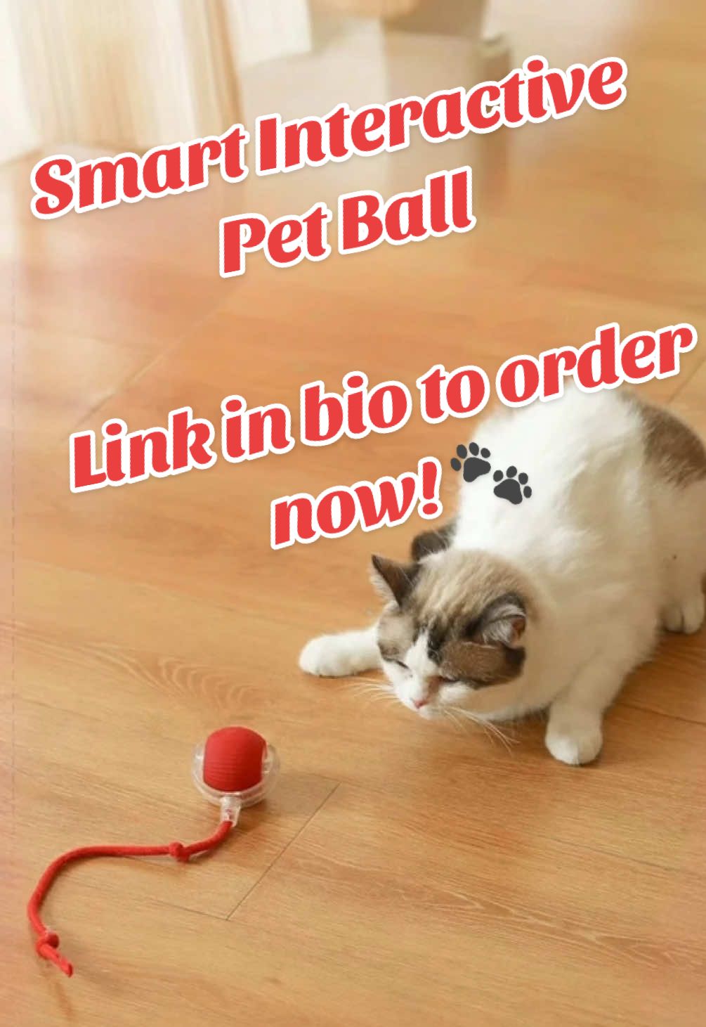Link in bio to order now! 🐾✨ Don’t let your pet miss out on their new favorite toy! Buy directly from us as your trusted Chinese supplier, offering unbeatable prices and fast shipping! Keep your furry friends active and entertained with this Smart Interactive Pet Ball! Designed for cats and small dogs, this electric toy rolls, bounces, and changes direction automatically to simulate real prey, sparking curiosity and encouraging movement. With obstacle-avoidance features and touch-activated motion, this boredom-busting toy is perfect for pets that stay home alone or need extra stimulation. Made with durable, pet-safe materials, it’s ideal for daily exercise and interactive fun—no remote or manual control needed! Great for indoor playtime and energy release, this self-moving pet ball makes for a thoughtful gift for any pet owner. Order now for quick delivery to the USA, Canada, Europe, South America, and the Middle East. Custom logo options available for bulk orders! #pettoy #smartpettoy #cattoy #dogtoy #automaticpetball #interactivepettoy #catlover #doglover #furryfriends #petfun #hometraining #petexercise #pettips #catvideos #petplaytime #tiktokpets #TikTokMadeMeBuyIt #foryou #fyp #viralproducts #shopifystore #amazonfinds #dropshipping #trendingproducts #buydirect #buyfromchina #chinasupplier #petgadgets #playfulpets #ordernow #petsupplies