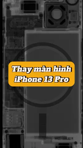 Thay màn hình IP 13 Pro #suachuadienthoai #suachua #iphone #iphone13pro #mobilecitycare