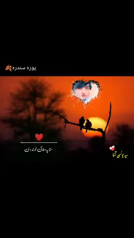 سید یونس آغــــا ستا په وفا کي خوند دي ترتیب ،،، نواب خان younas agha  sta pa wafa ke kawnd de NAWAB.KHAN...😍