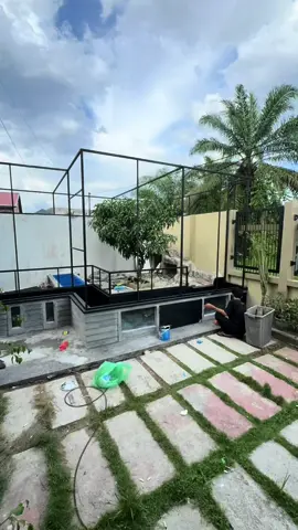 Part 6.  Aviari Farrel Farzan#aviarybirds #aviarimini #kolamkoi #tamanrumahminimalis #tamanrumah #aviary 