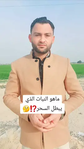 ماهو النبات الذي يبطل السحر⁉️🤔 #السحر 