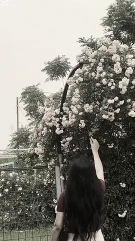 گرینگ نییە چەن هەوڵ ئەدەی هەندێک شت هەر لە سەرەتاوە بۆ تۆ نەبوە🖤.