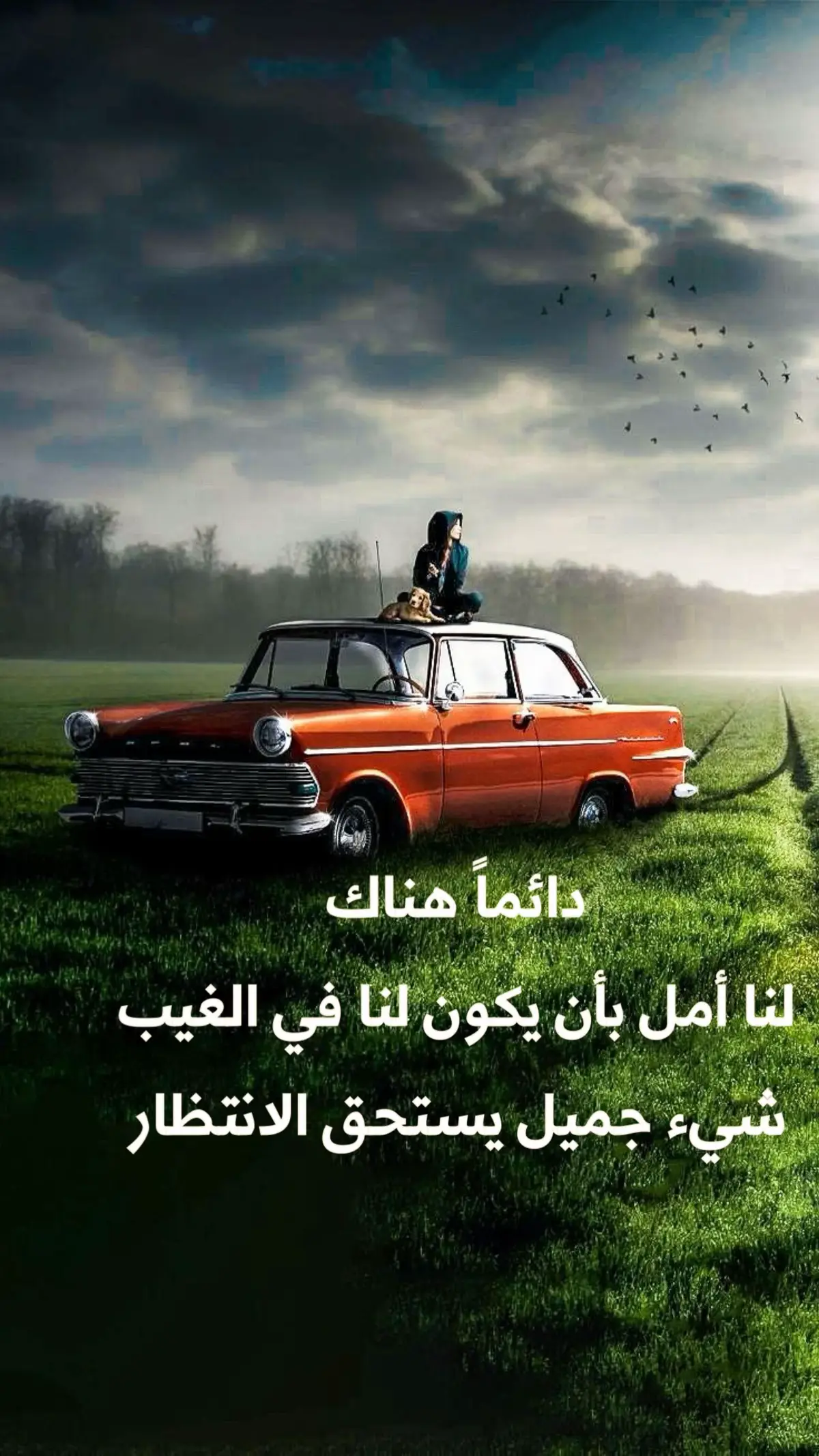 #قتباسات #عبارات #اكسبلورexplore 