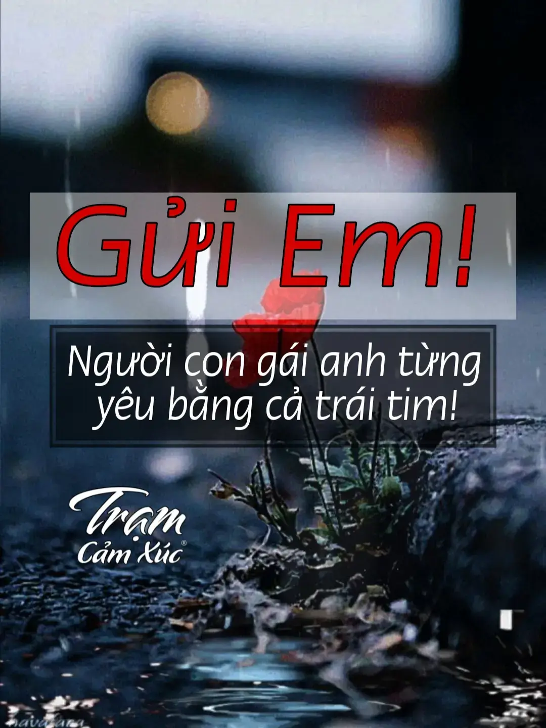 Gửi em – người con gái anh từng yêu bằng cả trái tim Anh đã tự hỏi mình không biết bao nhiêu lần: Tại sao anh không thể buông bỏ em? Anh đã thử. Thật sự đã thử. Nhưng cứ mỗi lần nghĩ đến việc quên em, tim anh lại nhói lên một cách điên dại. Dường như trái tim anh không chịu nghe lời lý trí, không chịu hiểu rằng em đã chọn con đường khác, một con đường không có anh.  Anh cố chấp. Anh biết. Anh cứ ôm lấy những kỷ niệm, cứ giữ khư khư những gì từng là của hai ta, như thể chỉ cần anh không quên, thì mọi thứ vẫn còn nguyên vẹn. Nhưng sự thật thì không phải vậy. Chúng ta đã xa nhau, và dù anh có đau đớn đến đâu, cũng không thể thay đổi được điều đó.  Anh nhớ những ngày mình còn bên nhau, những buổi chiều dạo phố, những tin nhắn chúc ngủ ngon mỗi tối. Nhớ cả ánh mắt em lấp lánh khi cười, giọng nói nhẹ nhàng mỗi khi em gọi tên anh. Tất cả những thứ đó, giờ đây chỉ còn lại trong ký ức. Em đã chọn rời xa anh, đã chọn một con đường không có anh sánh bước.  Nhưng anh vẫn cố chấp. Vì yêu em quá nhiều. Vì anh không thể tưởng tượng được cuộc sống này khi không còn em nữa. Anh biết mình đang làm khổ chính mình, biết rằng cứ mãi níu kéo một người đã không còn yêu mình là ngu ngốc. Nhưng làm sao đây, khi trái tim anh chưa thể học cách quên em?  Có lẽ một ngày nào đó, khi thời gian đủ dài, anh sẽ học được cách buông bỏ. Nhưng không phải bây giờ. Giờ đây, anh vẫn sẽ tiếp tục yêu em, dù chỉ là từ xa. Anh sẽ vẫn dõi theo em, vẫn mong em hạnh phúc, dù hạnh phúc đó không còn có anh.  Chỉ là… nếu một ngày nào đó em vô tình ngoảnh lại, hãy nhớ rằng, ở nơi nào đó, vẫn có một kẻ ngốc cố chấp yêu em bằng tất cả những gì anh ta có thể làm.#stt_tâm_trạng_buồn 