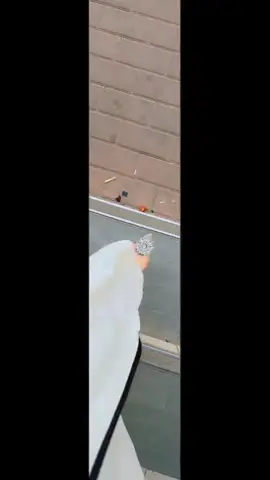 مساء الورد وعطر الورد 