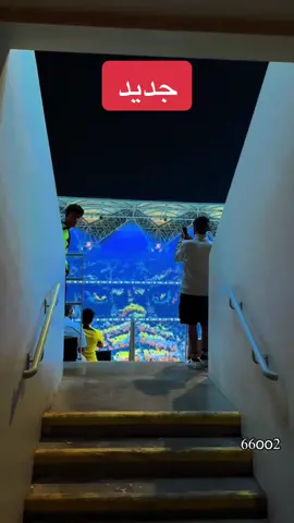 (الصياح بالدور🦦) / الكورفا قولد أعظم جمهور 🔥🖤💛#الاتحاد #viral #حركة_إكسبلور #الكورفا_قولد 