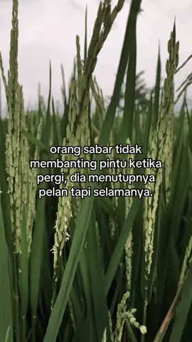 #masukberandafyp 