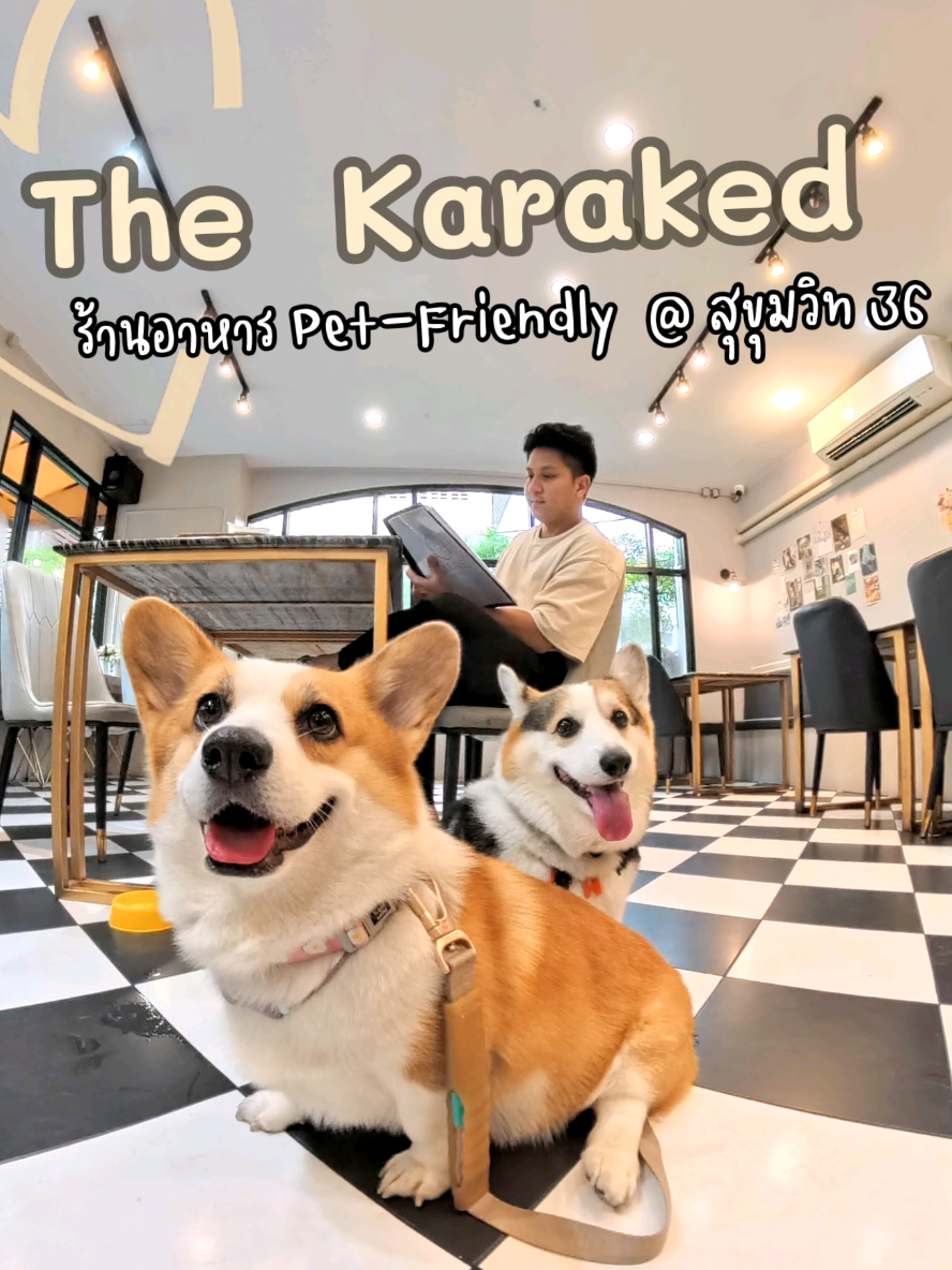 ร้านอาหารเพื่อชาว Pet-Friendly อย่างแท้จริง🐶🐱 อร่อยถูกใจ ตั้งอยู่สุขุมวิท36🍽 ประทับใจทุกอย่าง ตั้งแต่บริการจนถึงรสชาติอาหาร กลับมาซ้ำอีกแน่นอน @thekaraked  #เดอะการะเกด #thekaraked #สุขุมวิท36 #นึกถึงอาหารต้องร้านการะเกด #ไม่ดีมีหรอการะเกดจะทำ #อร่อยไปตำ #petfriendly #ร้านอาหารpetfriendly 