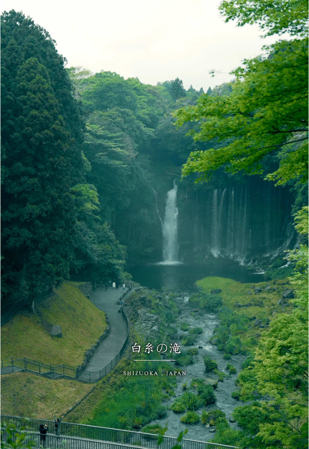 📍 白糸の滝【静岡】  Shizuoka - Shiraito falls 高さ20m・幅150ｍの湾曲した絶壁から、大小数百の滝が流れ落ちる、白糸の滝。 富士山の雪解け水が、上部の水を通す地層である新富士火山層と下部の水を通さない地層である古富士火山層の境の絶壁から湧き出しています。 Hundreds of waterfalls of various sizes cascade down a 20-meter-high, 150-meter-wide curved cliff at Shiraito Falls. Fuji, gushing from the precipitous cliff at the boundary between the Shin-Fuji Volcanic Formation, a water-permeable stratum at the top, and the Old-Fuji Volcanic Formation, a water-impermeable stratum at the bottom. 🎥 @howell.wakayama  Camera: SONY ZV-E1 / FE35mm F1.4 GM , FE24-70 F2.8 GM Gimbal : DJI RS4 ______________ #Japan #japantravel #japantrip #torii #japanese #visitjapan #traveljapan #静岡 #富士山 #Fuji #静岡観光 #静岡旅行 #shizuoka