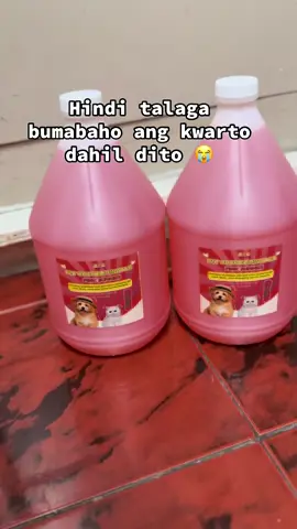 Hindi na amoy ihi ng alaga ang kwarto 🥹🫶🏼  #PetDeodorizer #pet #budolfinds #sanitary 