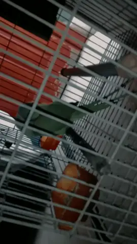 Kya style hai Sahab ka 😂 