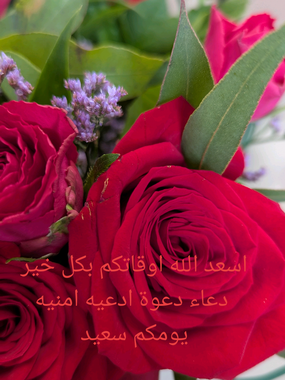 اسعد الله اوقاتكم بكل خير امنيه دعاء أسعد الله جميع أوقاتكم بكل خير وسعادة، وجعل الفرح رفيق دربكم،  والطمأنينة تملأ قلوبكم. أسأل الله أن يرزقكم راحة البال، وسعة الصدر، وبركة في العمر، وأن يحقق لكم كل أمنياتكم. دمتم بخير وهناء، وابتسامتكم لا تفارق 🫵 وجوهكم.🙏🤲❣️😊☺️🌞🌹 #اسعد_الله_جميع_اوقاتكم🌹🌹  #يسعدلي__اوقاتڪۘم  #صباح_الخير  #صباح_الورد  #مساء_الخير  #مساء_الورد  #صباحكم_أحلى_صباح  #مساكم_الله_بالخير  #دعاء  #دعوه  #ادعيه  #كلام_من_ذهب  #كلام_جميل 