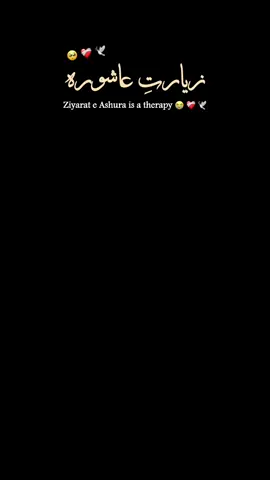 Ziyarat e Ashura 😭❤️‍🩹🕊   Follow for more  @darehussaina.s  #shia #shiastatus #ziyarat #ziyarat_ashura #shiacommunity #foryou #foryoupage #2025  #yamuhammadﷺ  #yaaliع #yafatimaس #yahassanع #yahussainع #imamsajjadع #imambaqarع #imamjafarsadiqع #imammusakazimع #imamrazaع #imamtaqiع #imamnaqiع #imamaskariع #imamzamanaع #yaabbasع #darehussain #karbala #najaf #pakistan #fypシ #reels #reeloftheday  FOLLOW, LIKE, COMMENT, SHARE