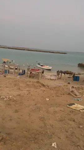 البادرة