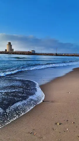 @LES TENESIENS تنس1 