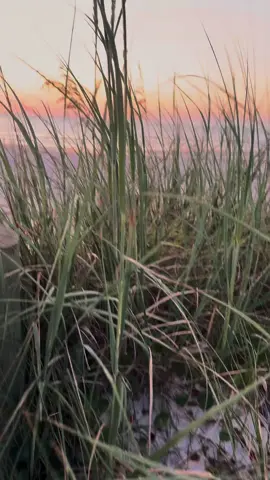 All you get is now… what will you do with your time #capcut #jaxbeach #flgrl☀️ 