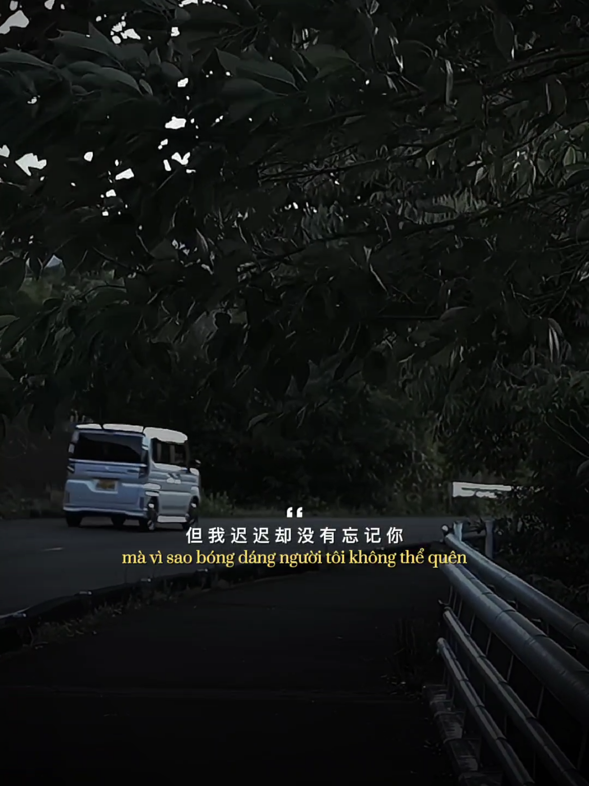 姑娘别哭泣 / Cô gái à, em đừng khóc nữa       #daivy95 