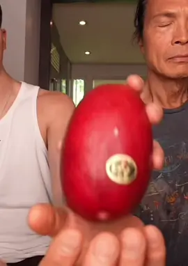Mango mango mango mango #lebron #mango 