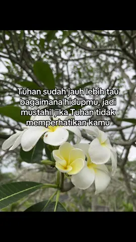 #4u #fyp #inspirasikristen#storyrohanikristen 